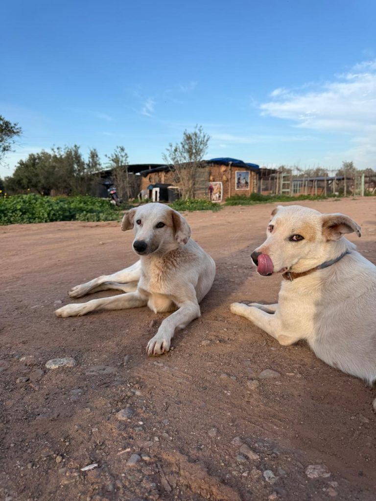 Rita & Coco