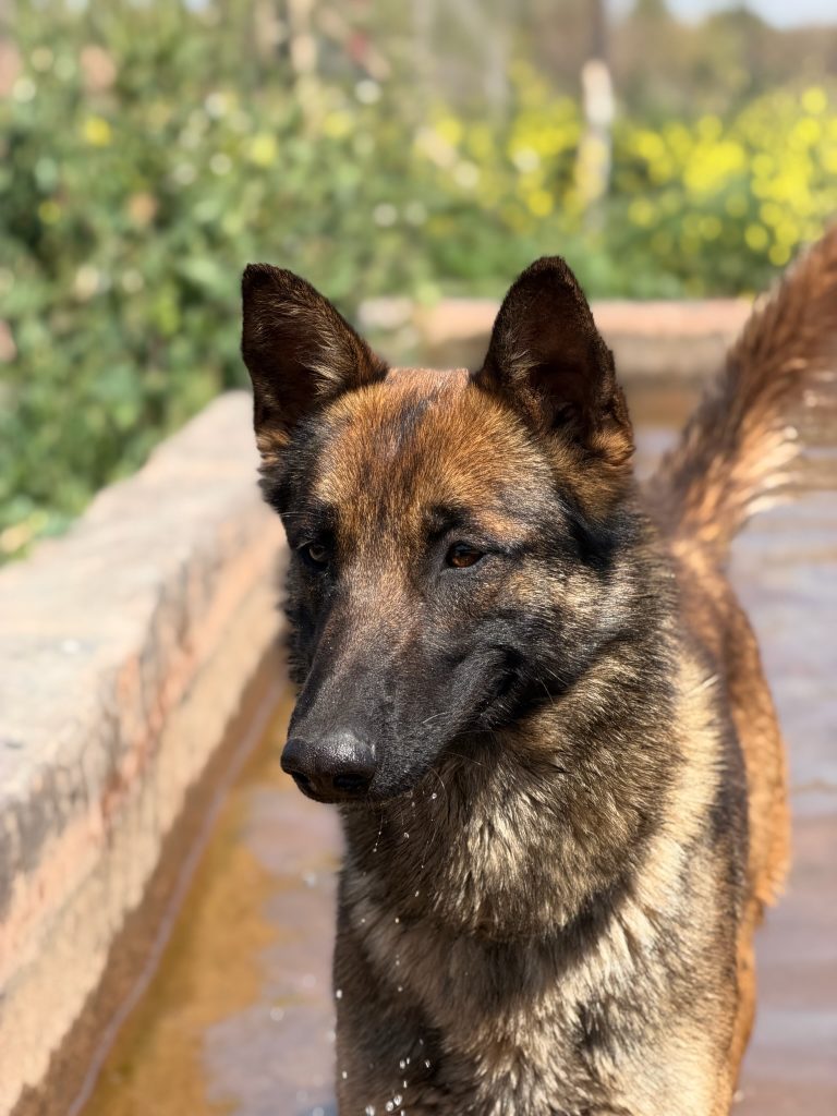 Rita