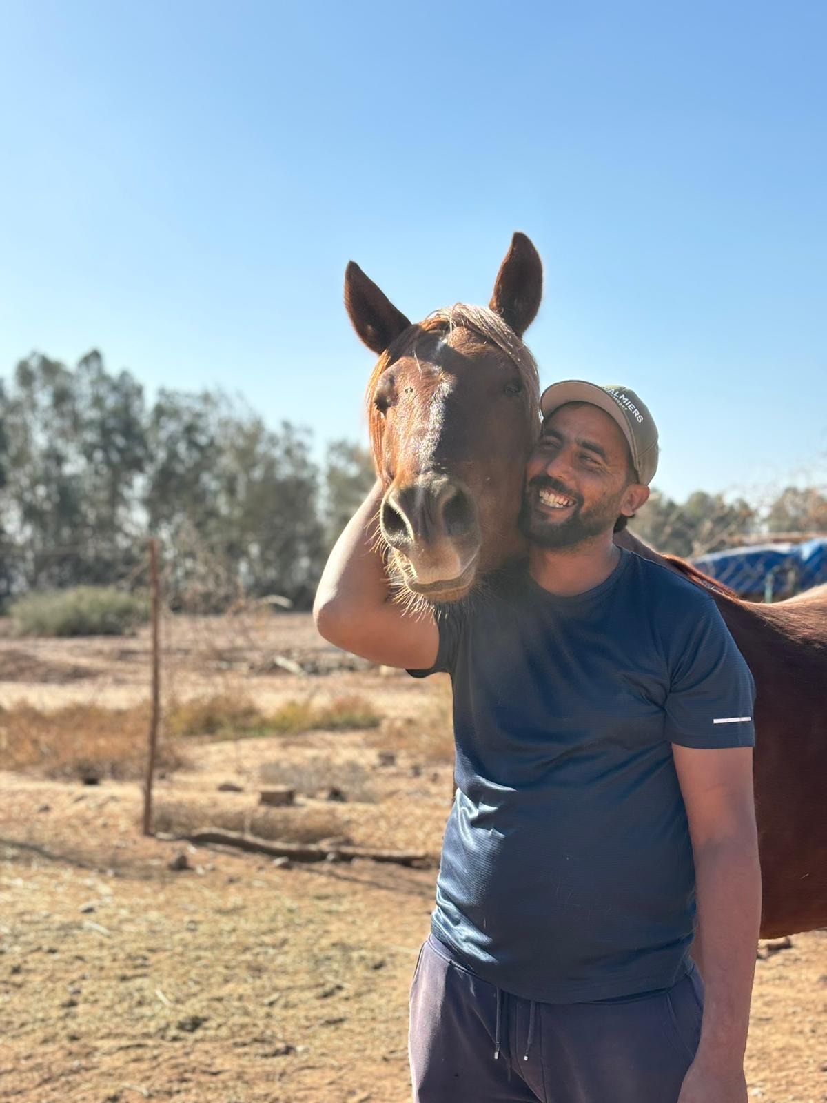 Sauvetages et vie des équidés au sanctuaire 13