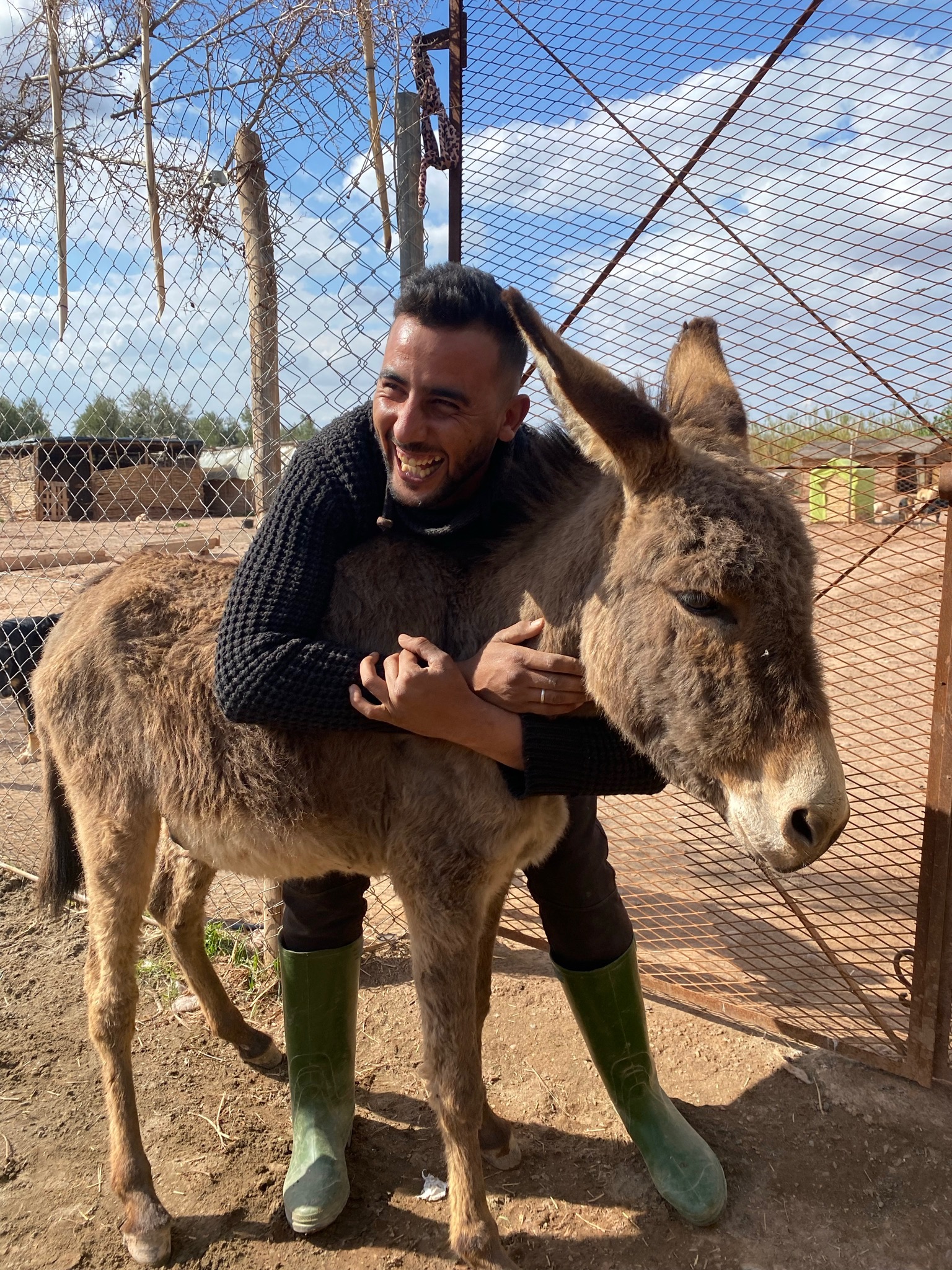 Sauvetages et vie des équidés au sanctuaire 7