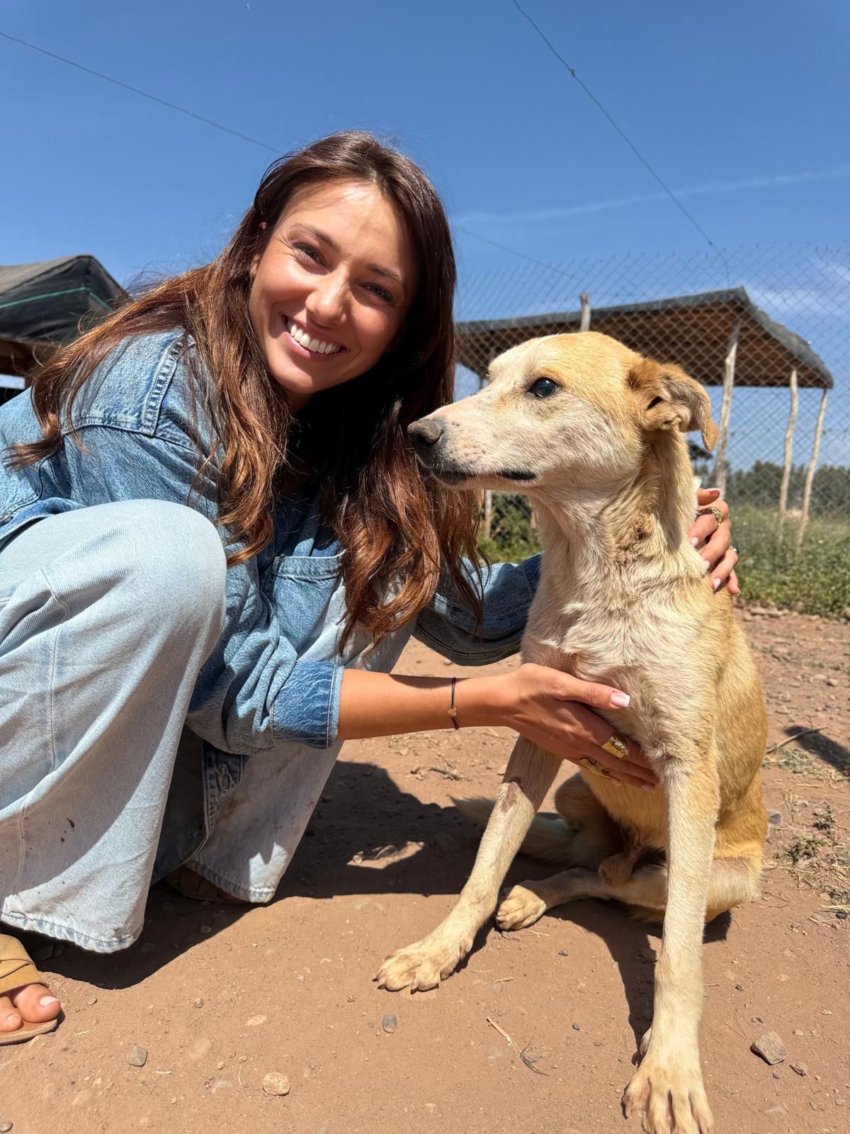 Une visiteuse aux côtés d’un chien du sanctuaire