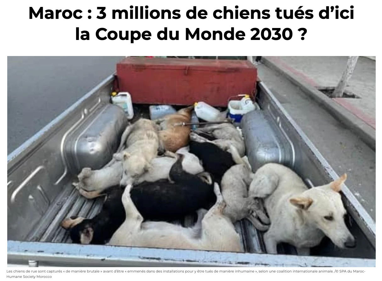 30 Millions d’Amis