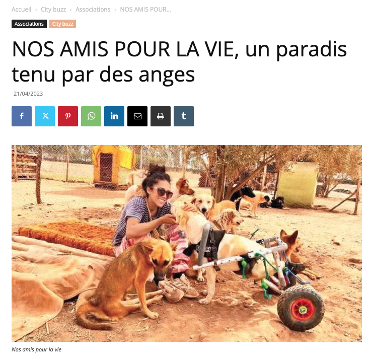 La Tribune de Marrakech